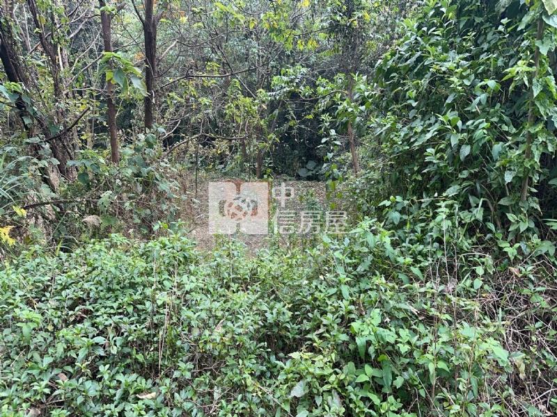 北埔湖尾農地房屋室內格局與周邊環境