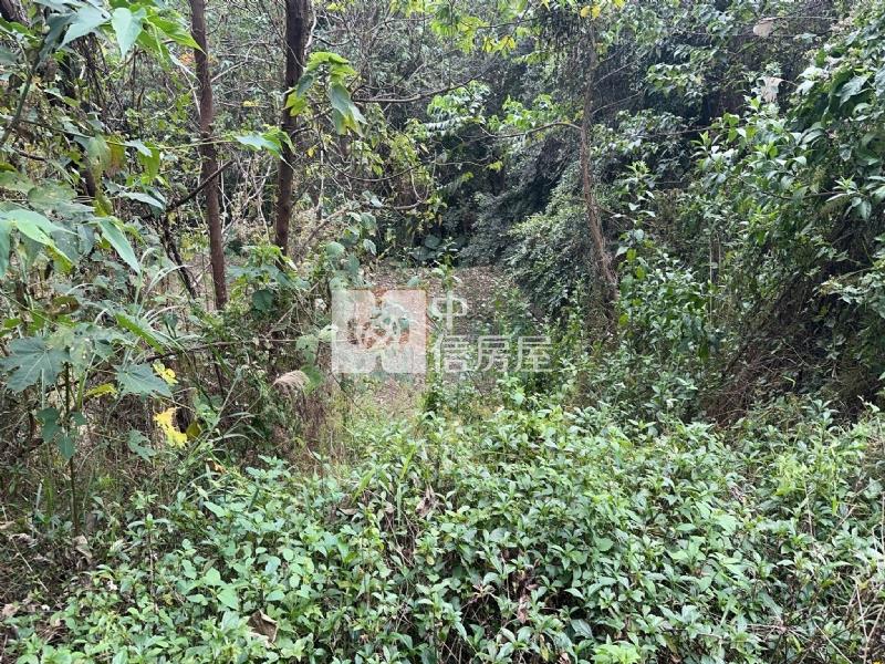 北埔湖尾農地房屋室內格局與周邊環境