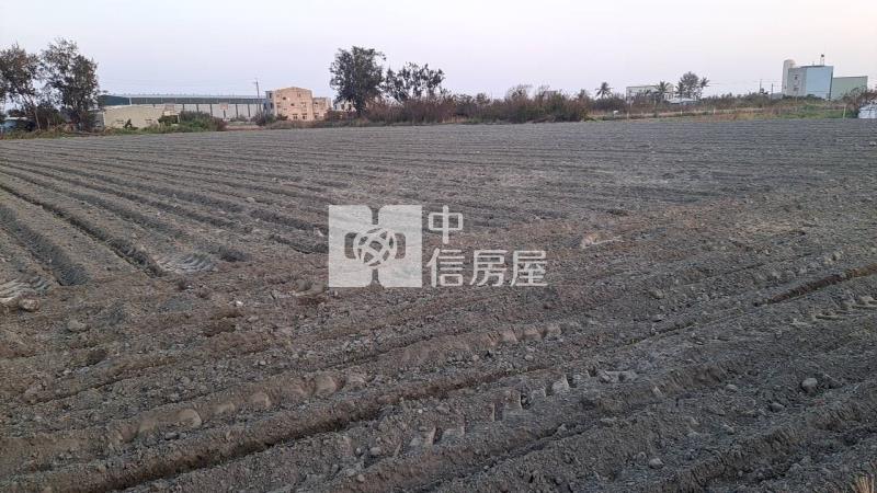 土城臨10米路便宜農地房屋室內格局與周邊環境