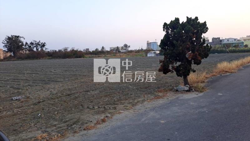 土城臨10米路便宜農地房屋室內格局與周邊環境