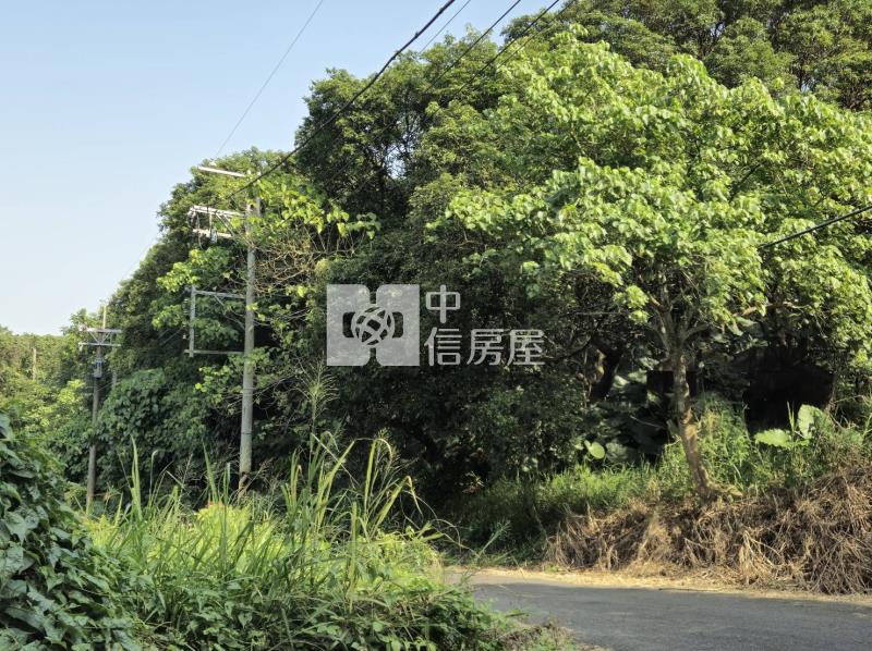 新化超值一甲大面寬一般農牧用地房屋室內格局與周邊環境