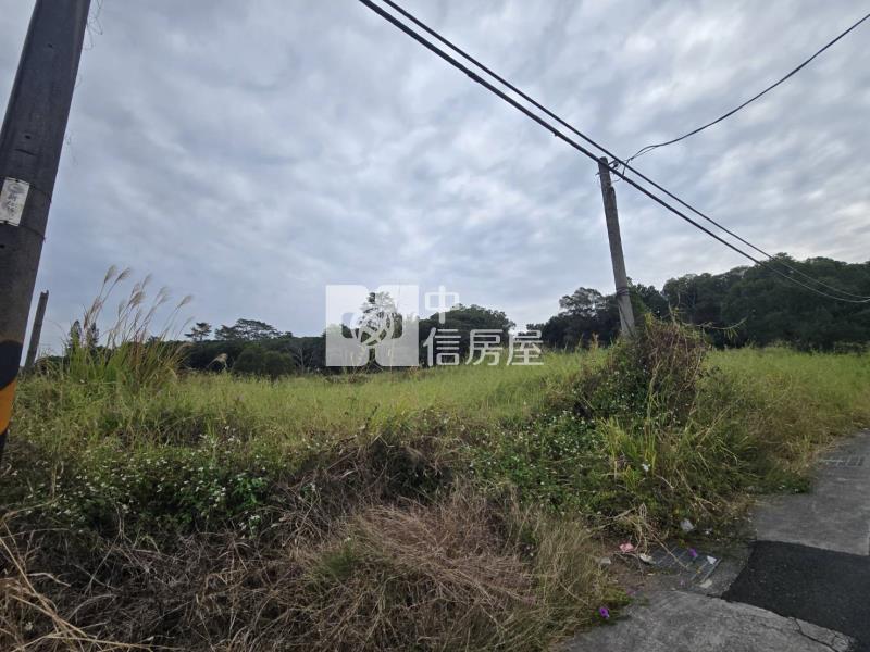 新化超值一甲大面寬一般農牧用地房屋室內格局與周邊環境