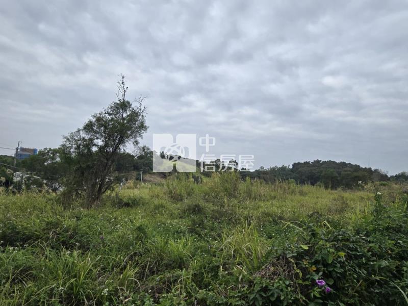 新化超值一甲大面寬一般農牧用地房屋室內格局與周邊環境