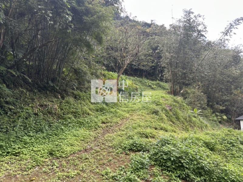橫山休閒地買地送屋房屋室內格局與周邊環境