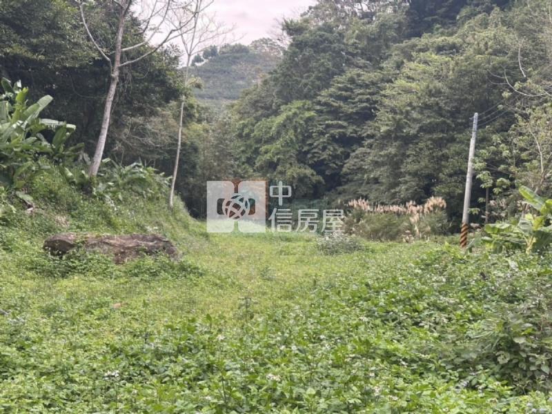 橫山休閒地買地送屋房屋室內格局與周邊環境