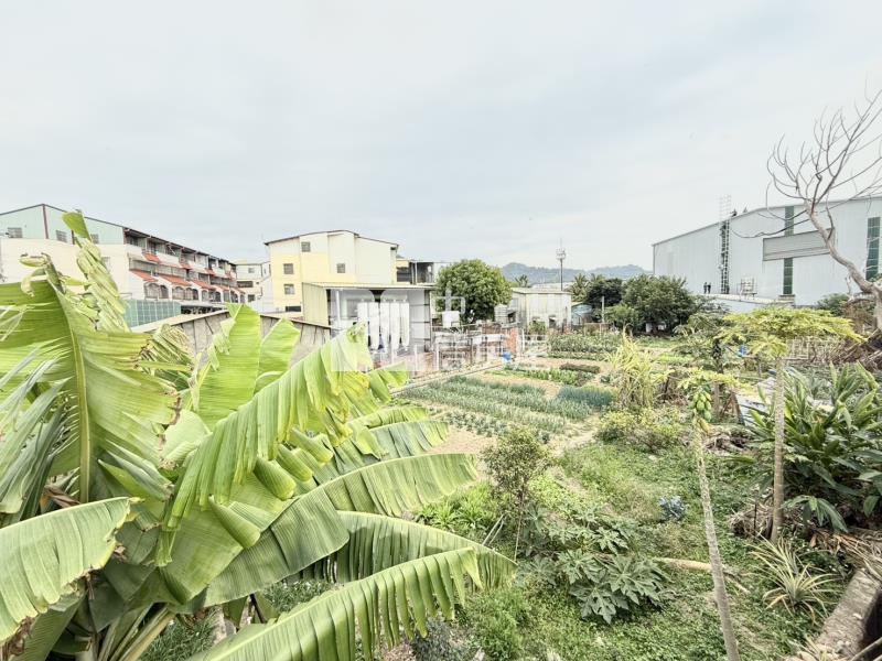 豐原祥和東路角地房屋室內格局與周邊環境