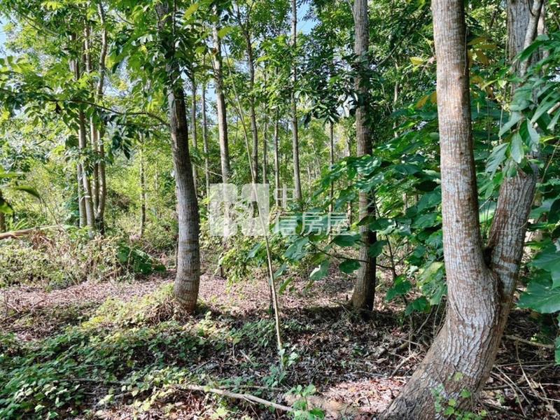 南化水庫旁山坡美農地房屋室內格局與周邊環境