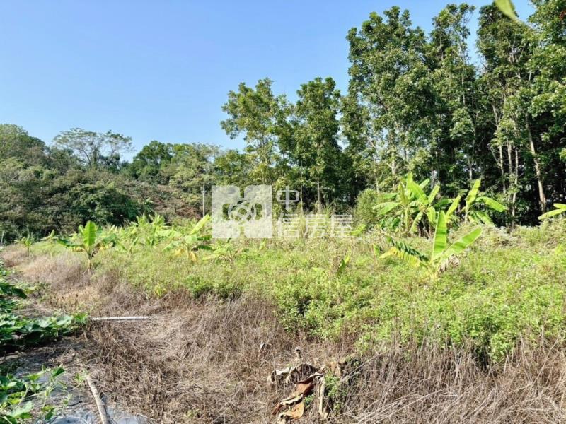 南化水庫旁山坡美農地房屋室內格局與周邊環境