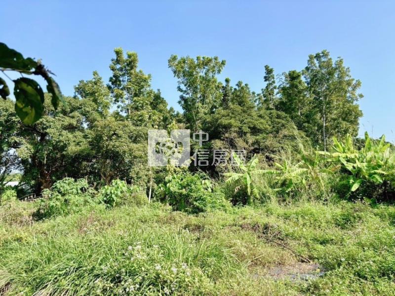 南化水庫旁山坡美農地房屋室內格局與周邊環境