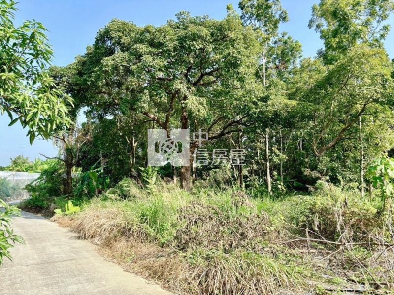 南化水庫旁山坡美農地房屋室內格局與周邊環境