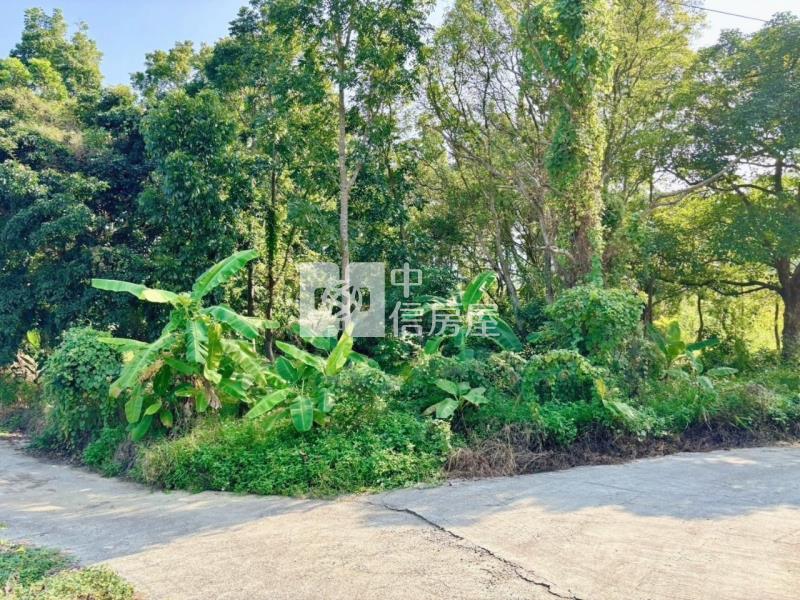 南化水庫旁山坡美農地房屋室內格局與周邊環境