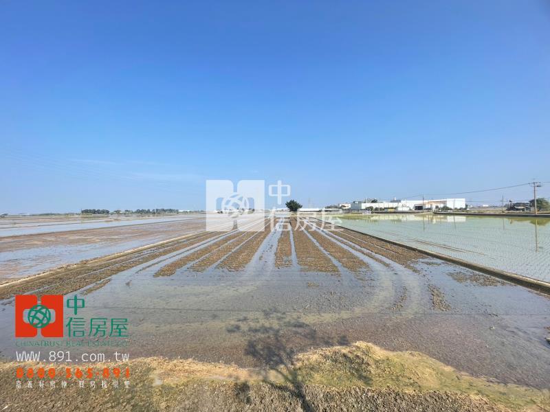 民雄菁埔國小旁正路邊農地Ａ房屋室內格局與周邊環境