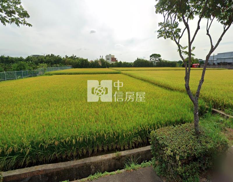 【安家】觀音上大國小近大湖路面寬農地房屋室內格局與周邊環境