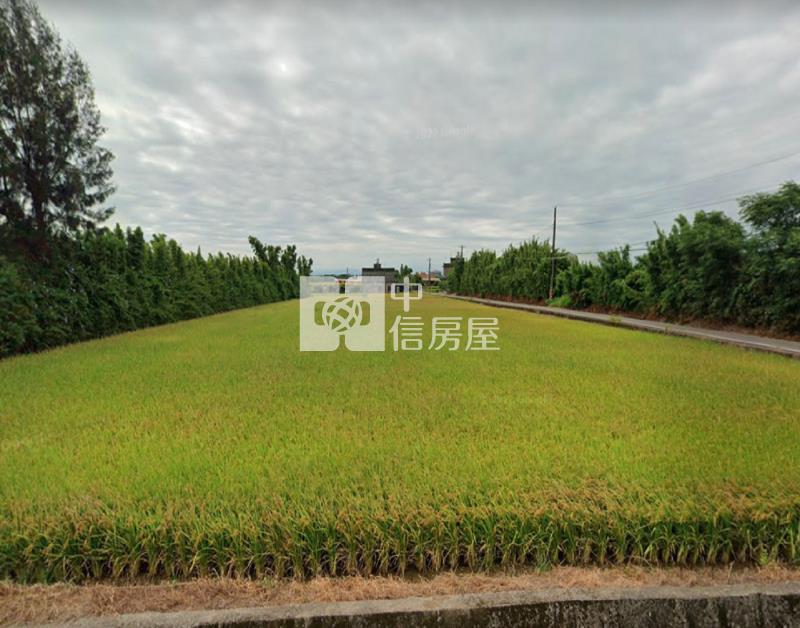【安家】觀音上大國小近大湖路面寬農地房屋室內格局與周邊環境