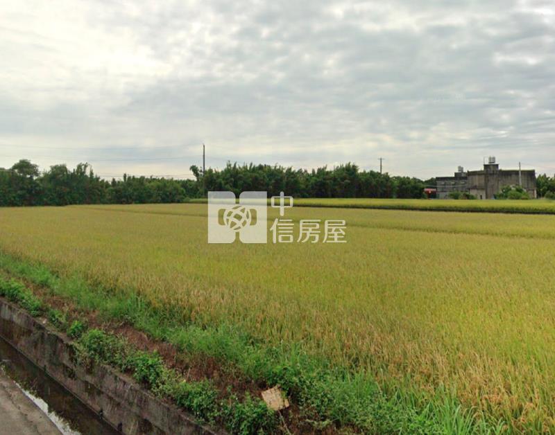 【安家】觀音上大國小近大湖路面寬農地房屋室內格局與周邊環境