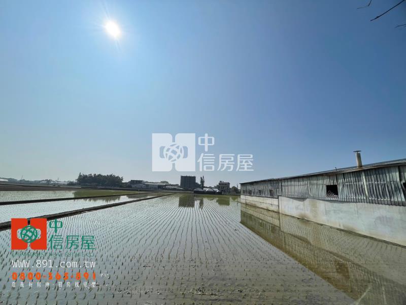 菁埔社區旁農地房屋室內格局與周邊環境