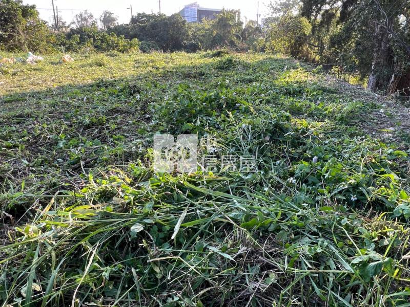 平鎮小塊美農地(一)房屋室內格局與周邊環境