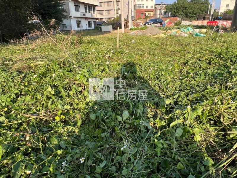 平鎮小塊美農地(一)房屋室內格局與周邊環境