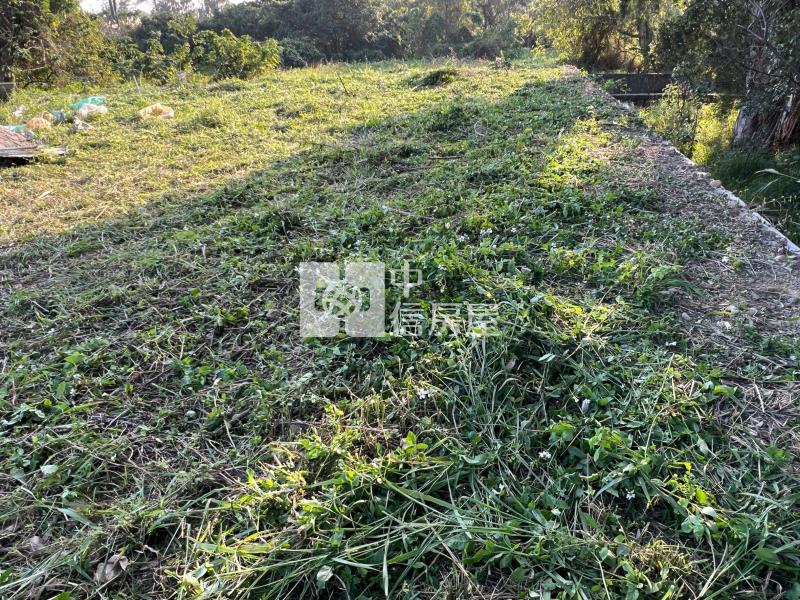 平鎮小塊美農地(二)房屋室內格局與周邊環境