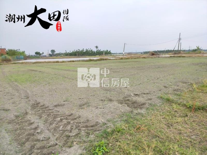 崁頂都農房屋室內格局與周邊環境