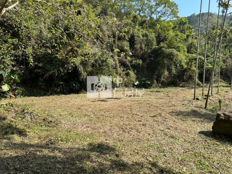 專任-公館臨路便宜美農地房屋室內格局與周邊環境