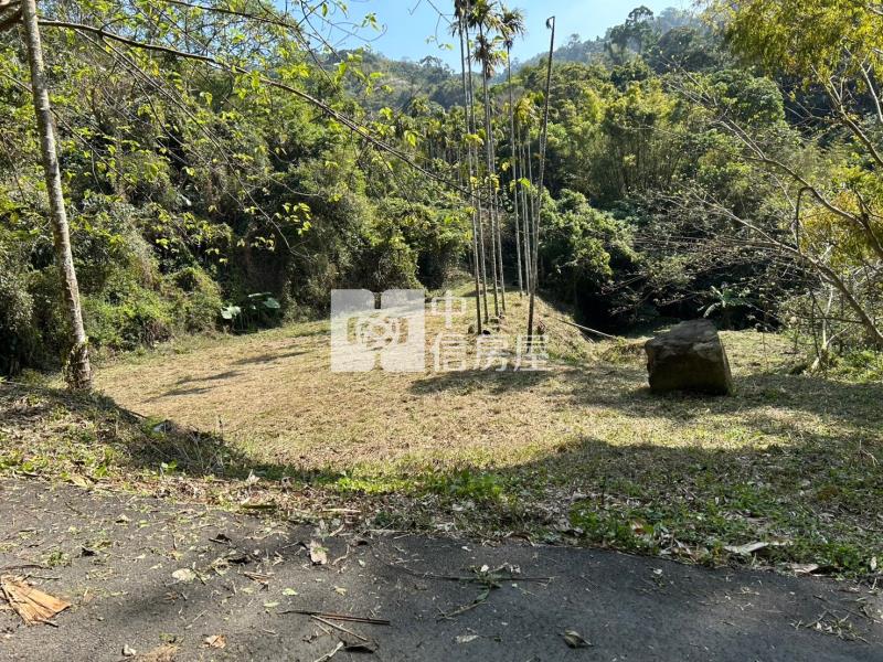 專任-公館臨路便宜美農地房屋室內格局與周邊環境