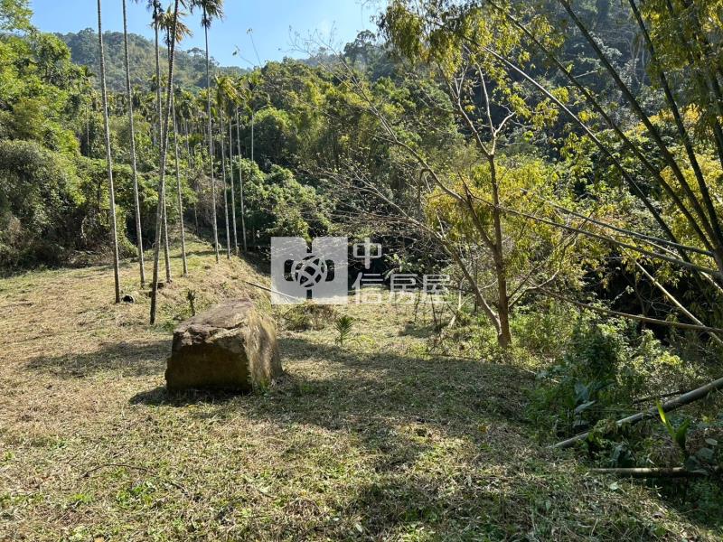 專任-公館臨路便宜美農地房屋室內格局與周邊環境