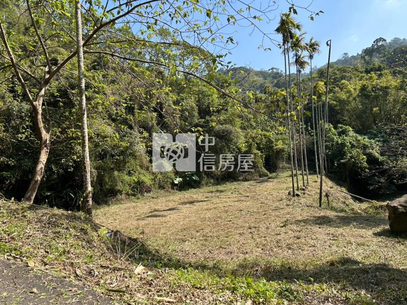 專任-公館臨路便宜美農地房屋室內格局與周邊環境