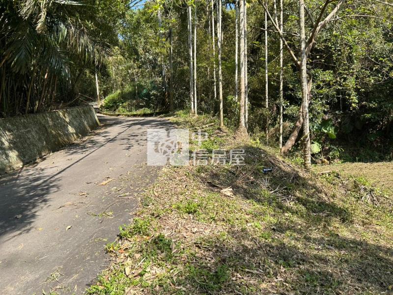 專任-公館臨路便宜美農地房屋室內格局與周邊環境