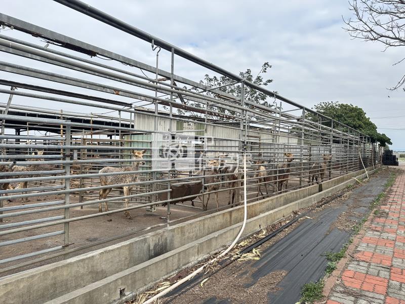 二林知名觀光鹿場房屋室內格局與周邊環境
