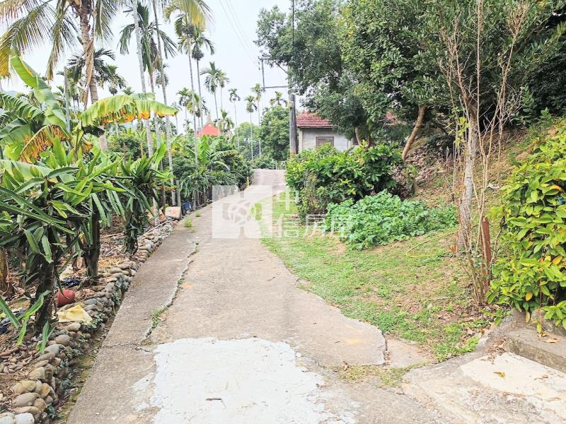 太平*花園三合院*丙建+百坪農地~409坪房屋室內格局與周邊環境