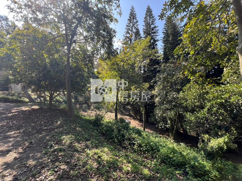 苗栗(丁)工+農地(送廠房)房屋室內格局與周邊環境