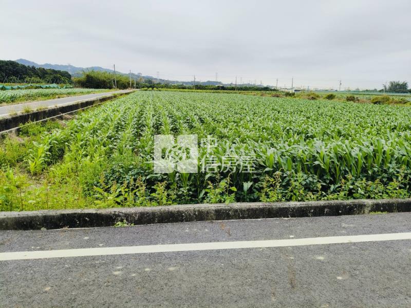 東山區果園房屋室內格局與周邊環境