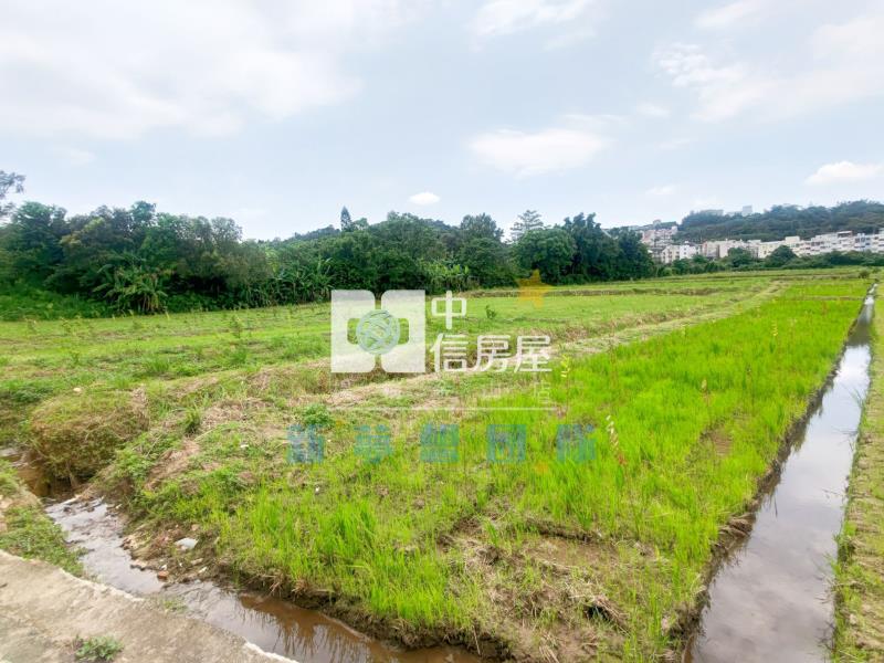 【新夢想】龍潭民生路旁休閒農地房屋室內格局與周邊環境