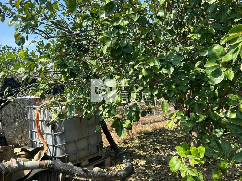 前後班段柚多都內農地房屋室內格局與周邊環境