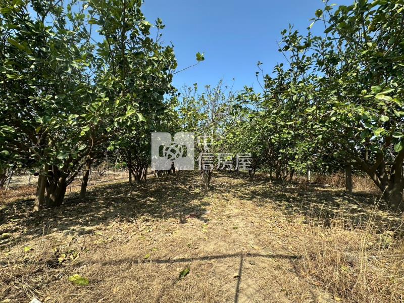 前後班段柚多都內農地房屋室內格局與周邊環境