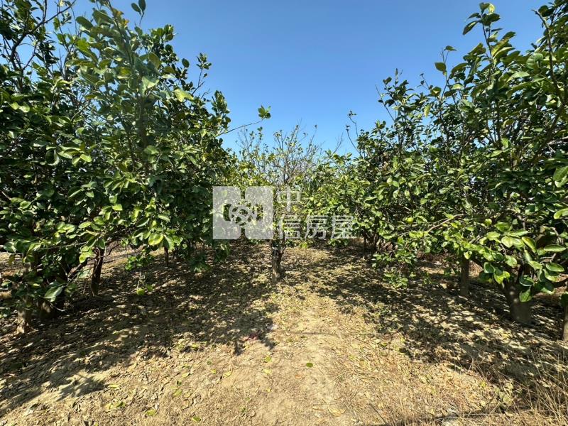 前後班段柚多都內農地房屋室內格局與周邊環境