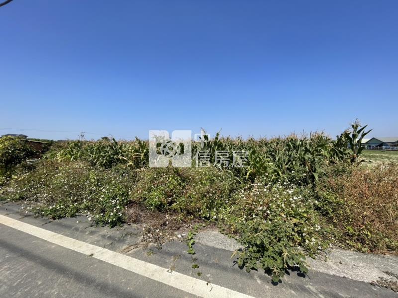 善化牛庄方正美農地房屋室內格局與周邊環境