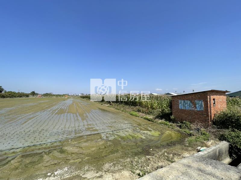 善化牛庄方正美農地房屋室內格局與周邊環境