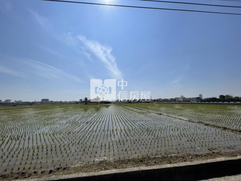 善化牛庄方正美農地房屋室內格局與周邊環境