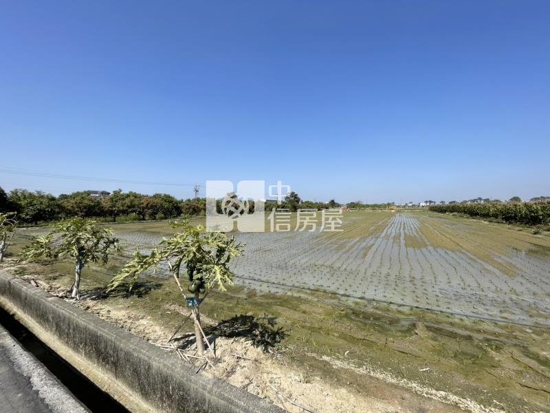 善化牛庄方正美農地房屋室內格局與周邊環境