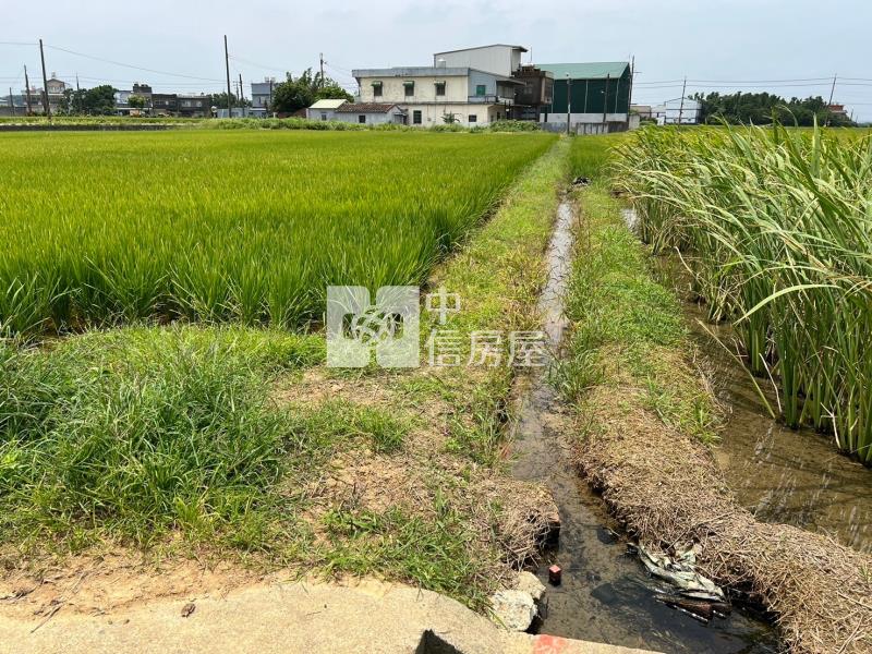 民有一路雙面路角田房屋室內格局與周邊環境