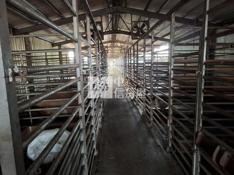 二林鹿世界觀光牧場房屋室內格局與周邊環境