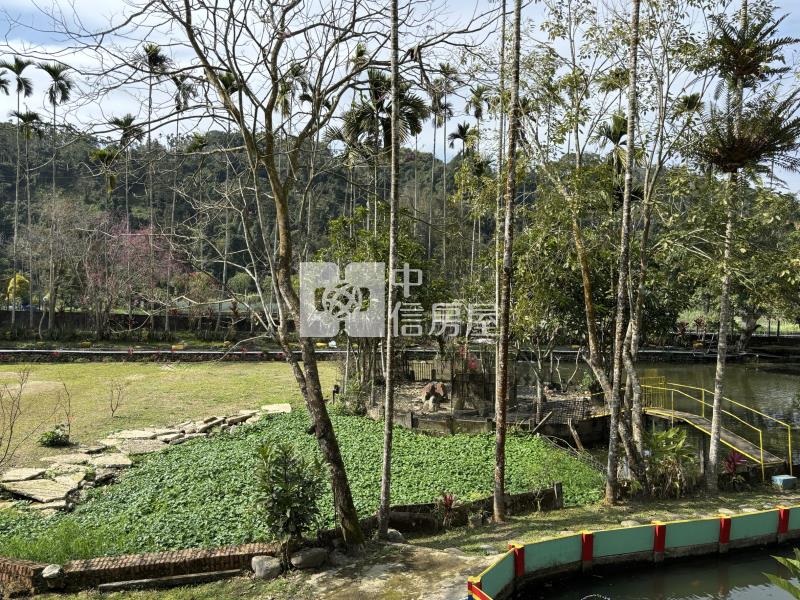 共和大面寬農舍房屋室內格局與周邊環境