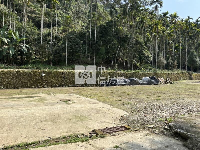 共和大面寬農舍房屋室內格局與周邊環境
