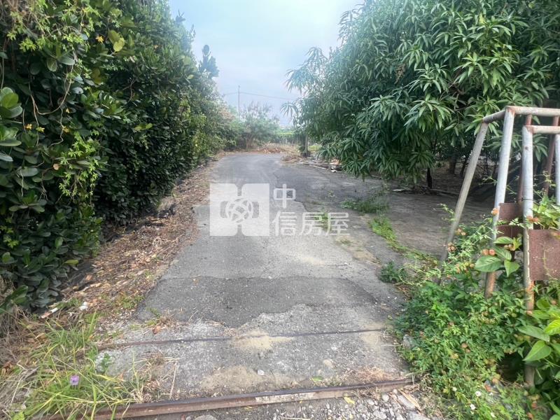 安南醫院都內農地房屋室內格局與周邊環境