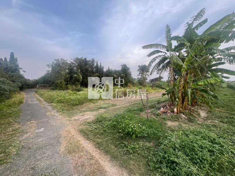 安南醫院都內農地房屋室內格局與周邊環境