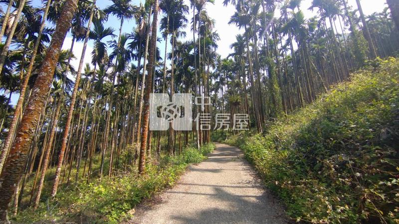 關子嶺大凍山口農地房屋室內格局與周邊環境