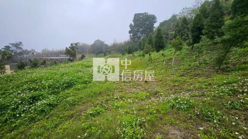 三灣山景休閒農(可貸款)房屋室內格局與周邊環境