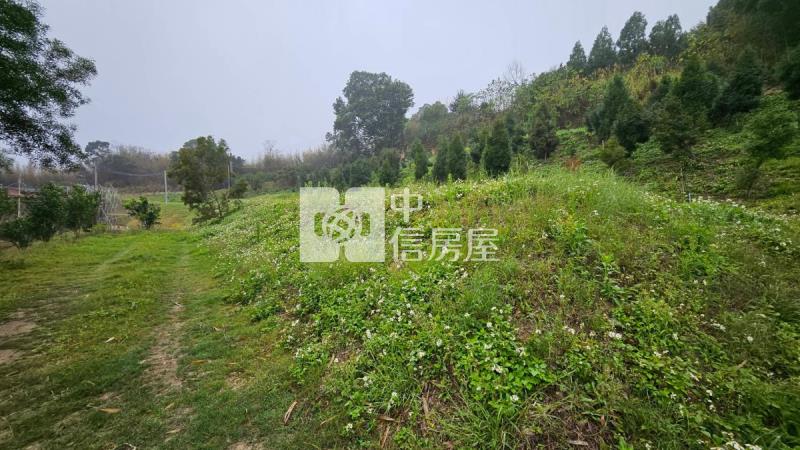 三灣山景休閒農(可貸款)房屋室內格局與周邊環境